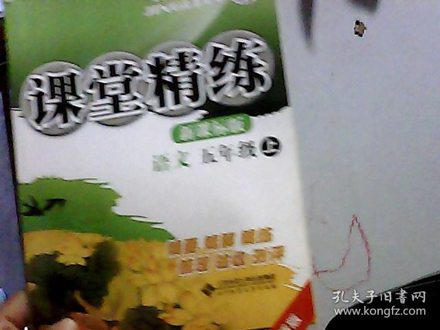 课堂精练:语文(5年级上)(新课标版·最新版)