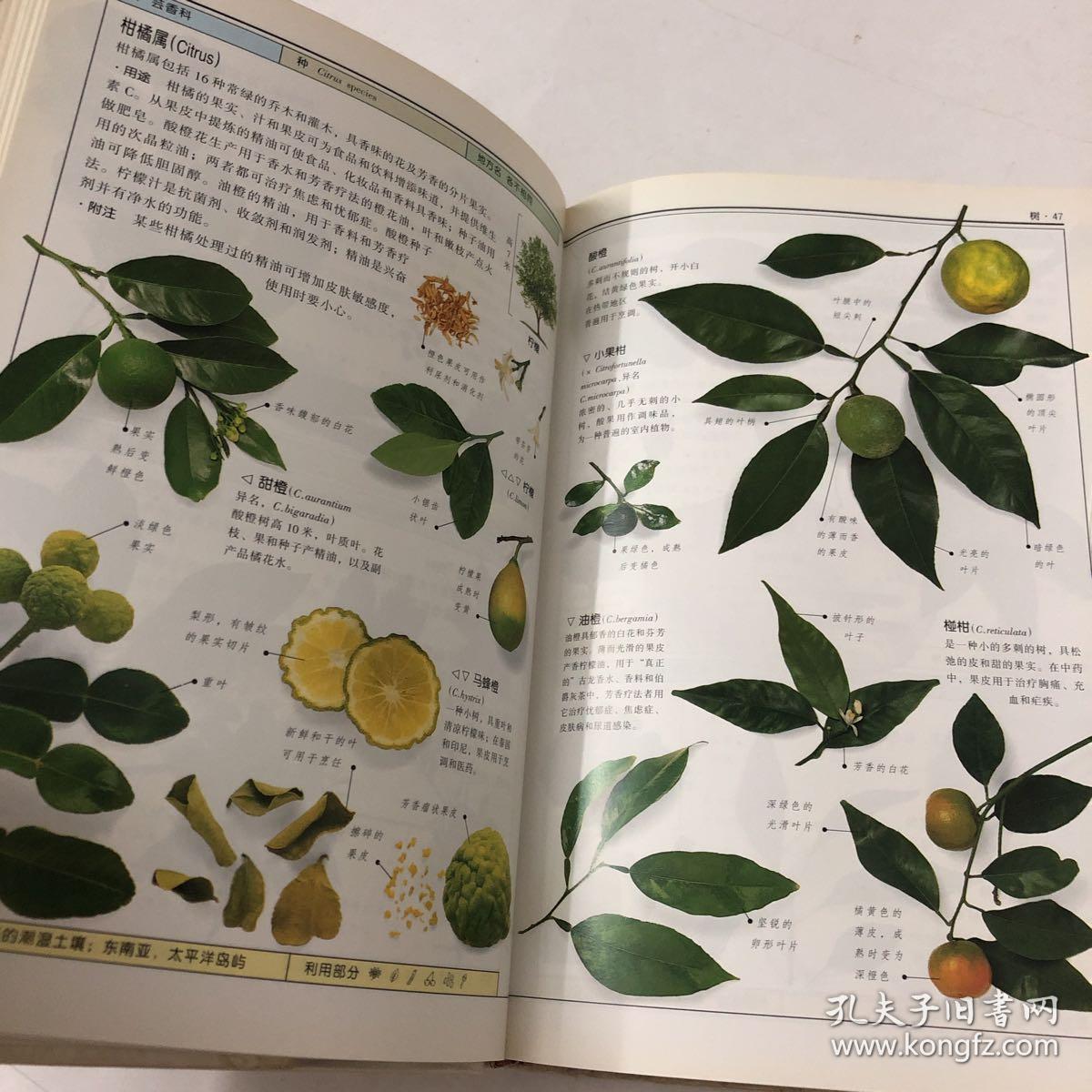 药用植物:全世界700多种药用植物的彩色图鉴