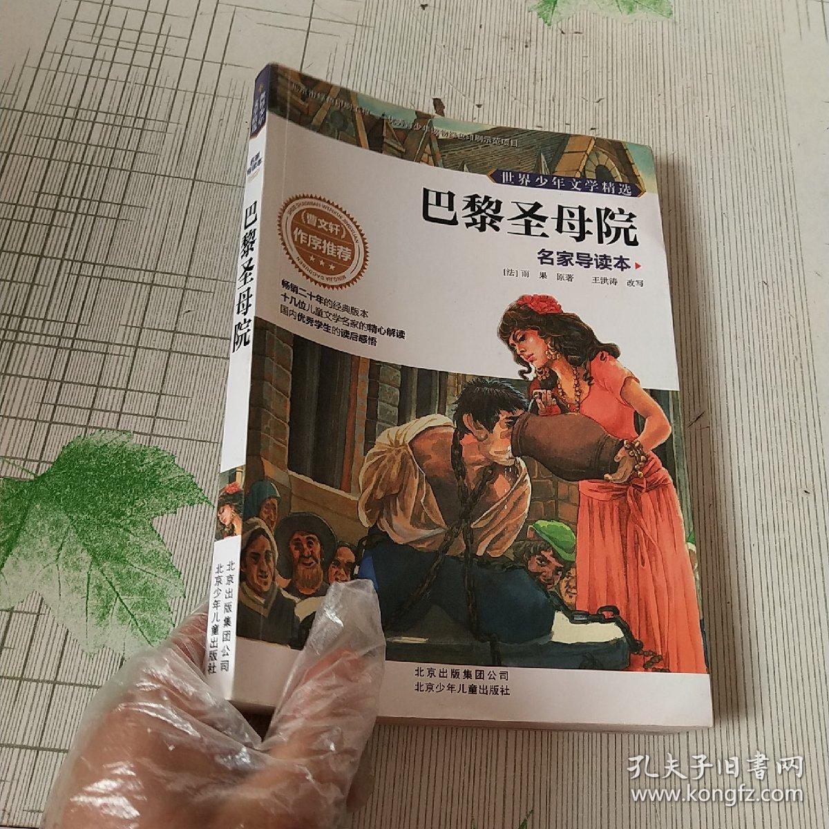 世界少年文学精选·名家导读本 巴黎圣母院