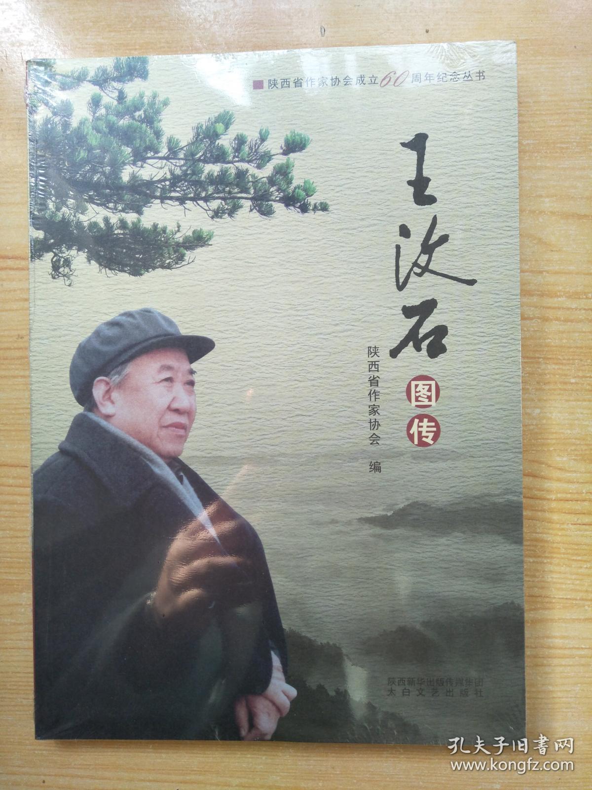 王汶石图传