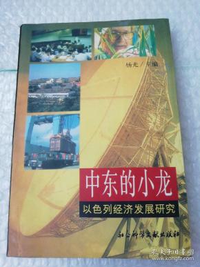 以色列中东经济总量_中东小霸王以色列