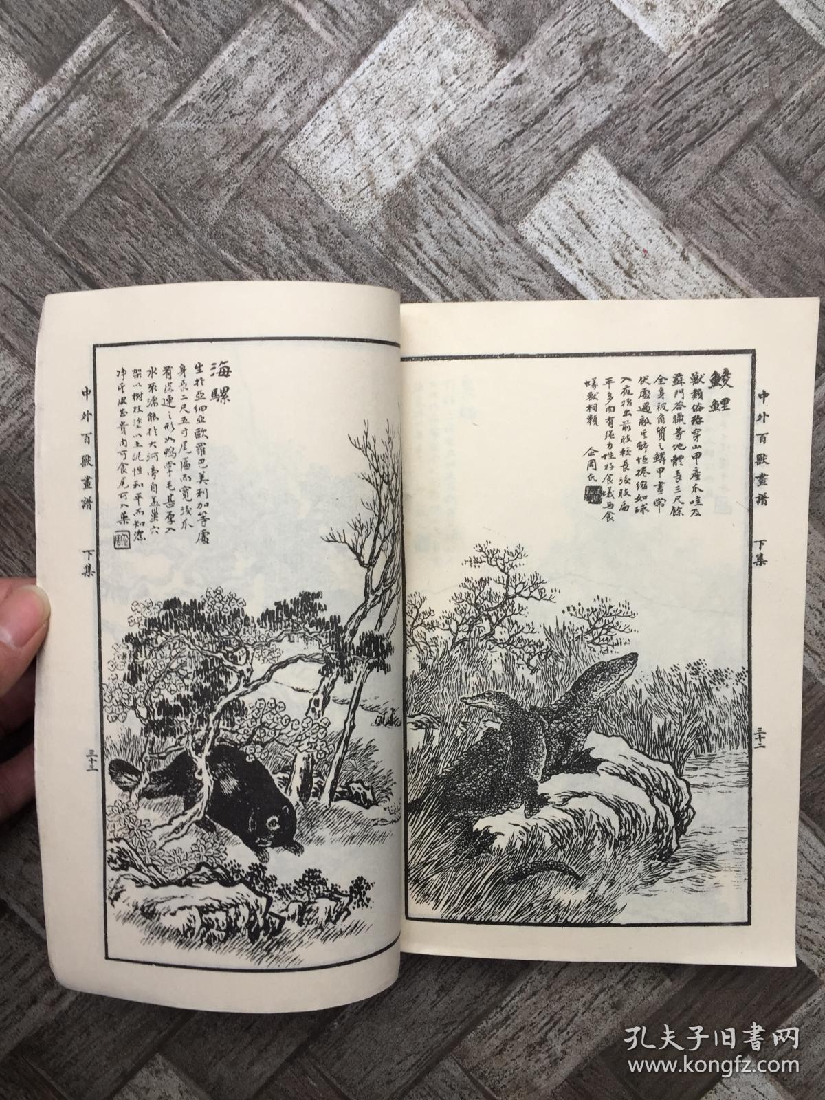 【马骀画宝】第二集.花鸟走兽