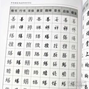 书法技法入门钢笔书法字典 拼音查字 楷书行书隶书草书宋体魏碑启体瘦