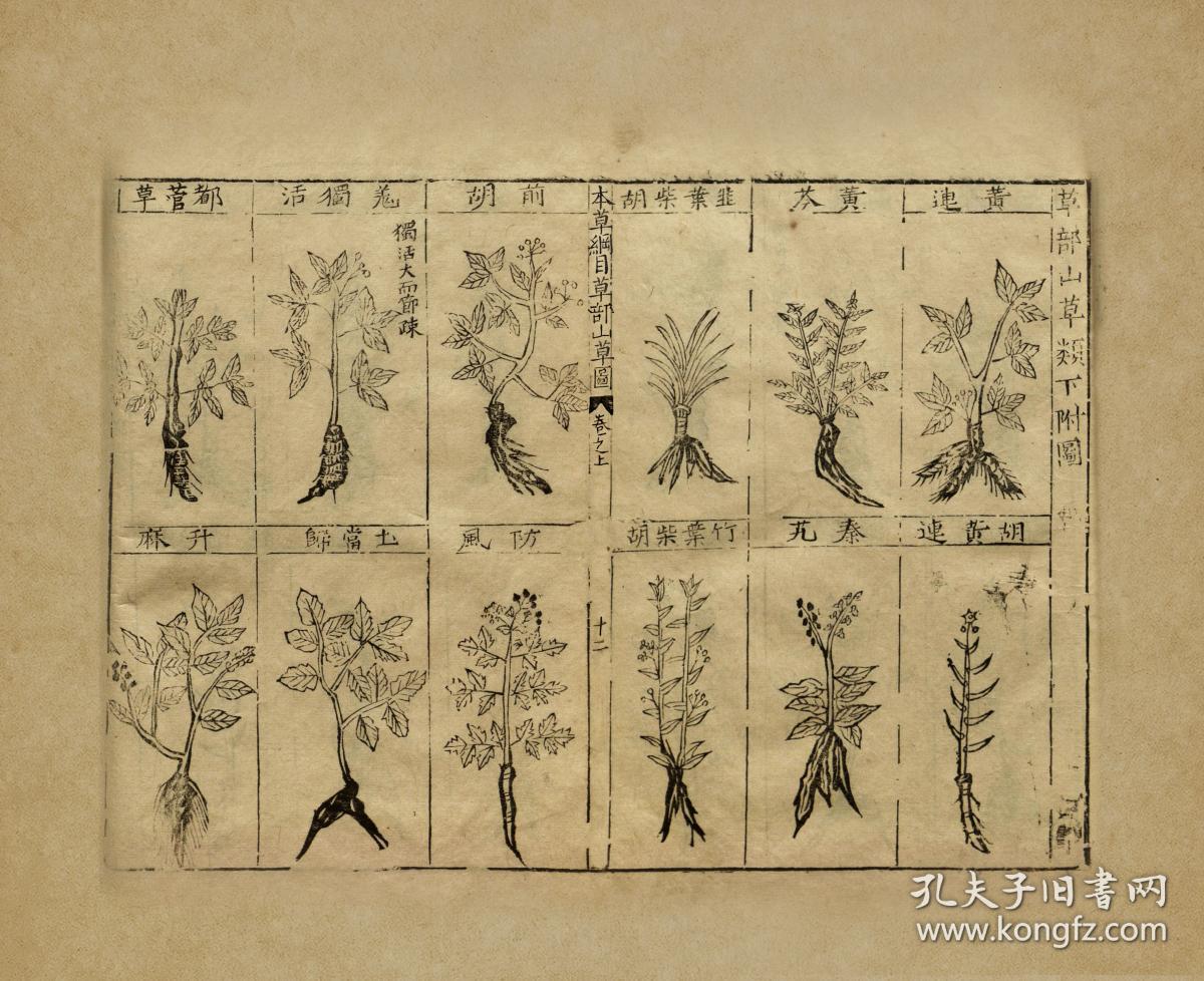 《本草纲目金陵本宣纸影印版》(十函五十二册,宣纸线装!