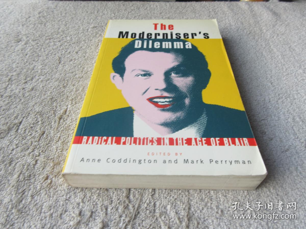 modernise,modernapartment the moderniser"s dilemma: radical politics in the