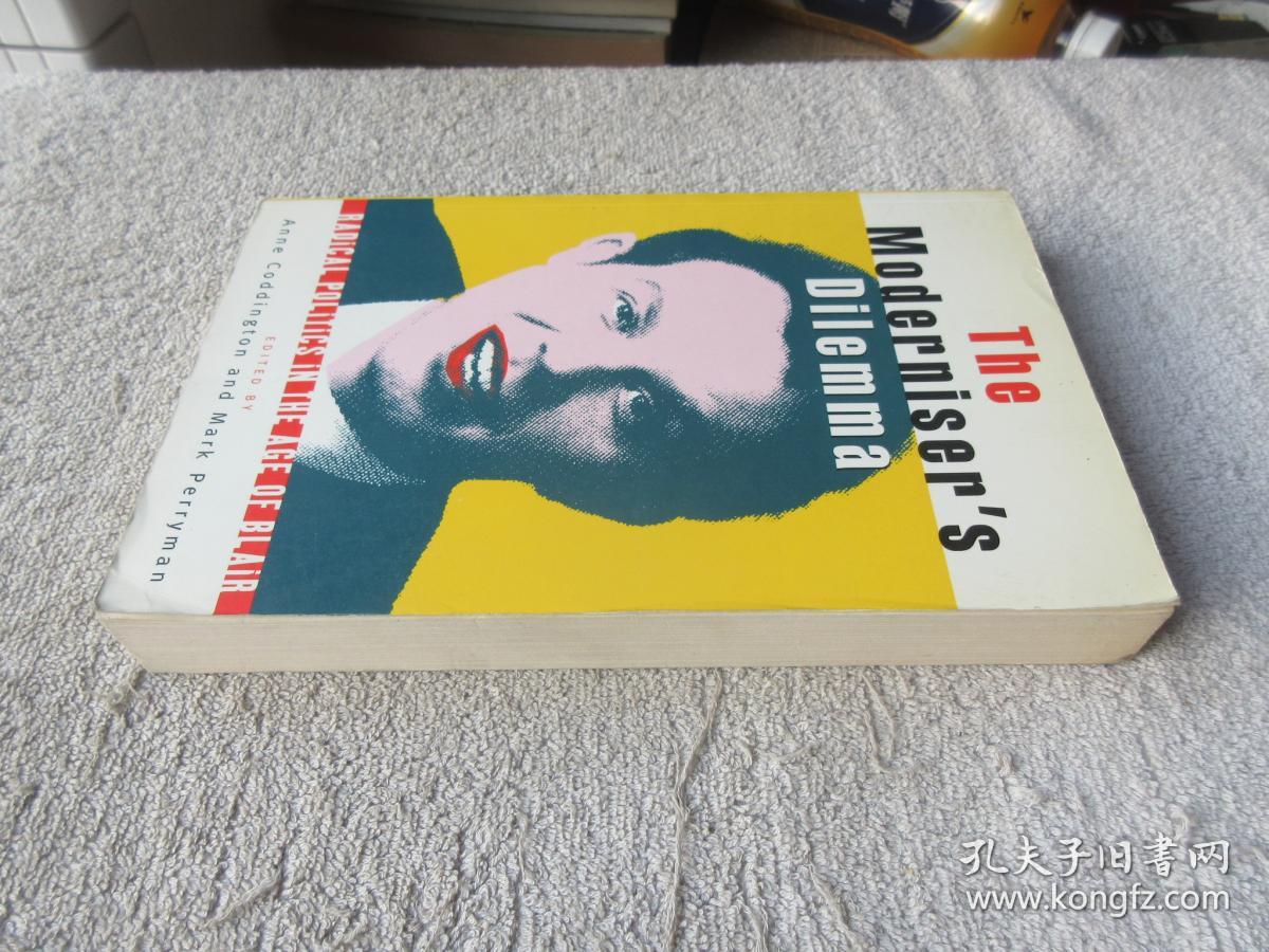 the moderniser"s dilemma: radical politics in the