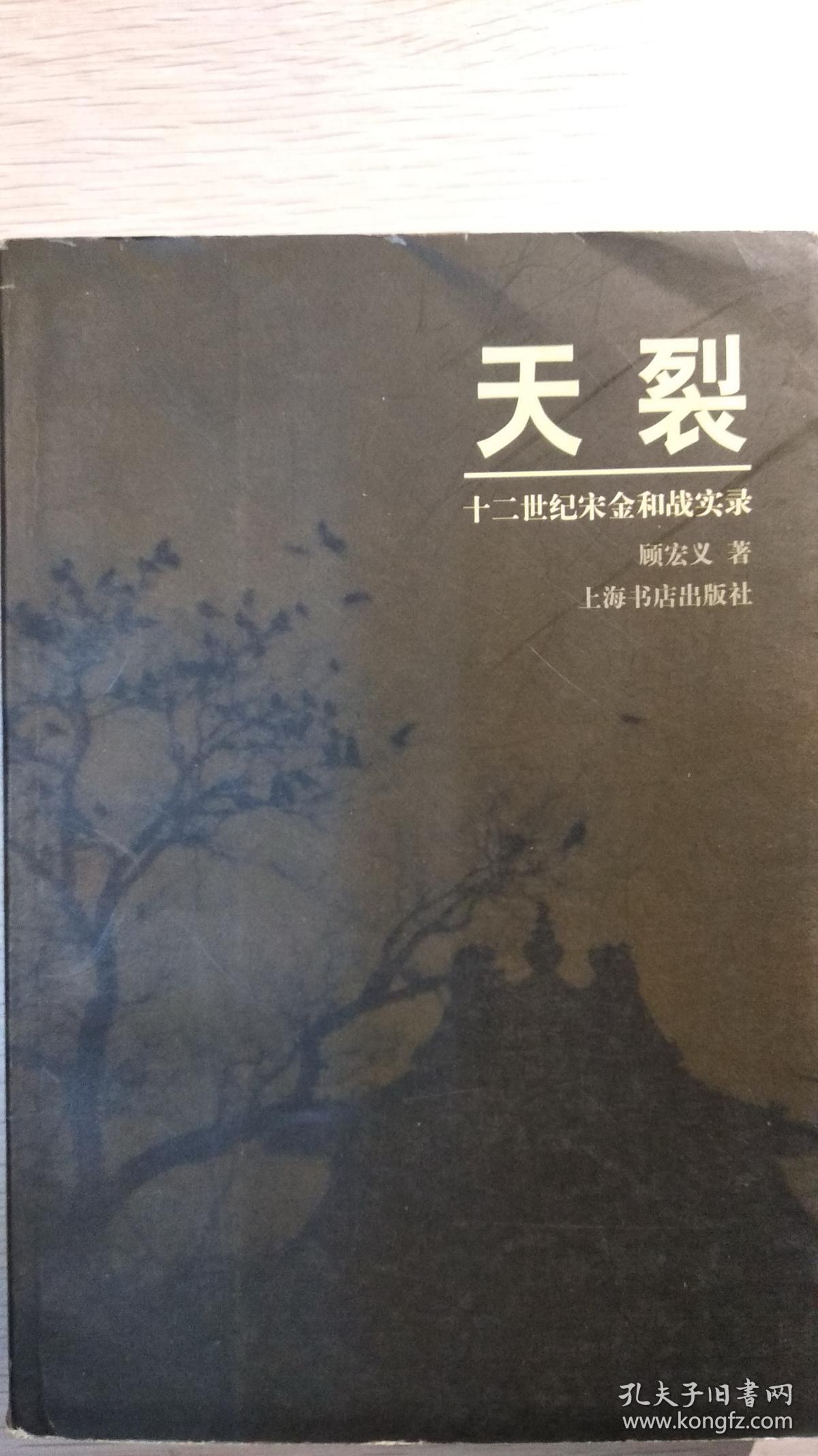 天裂-十二世纪宋金和战实录