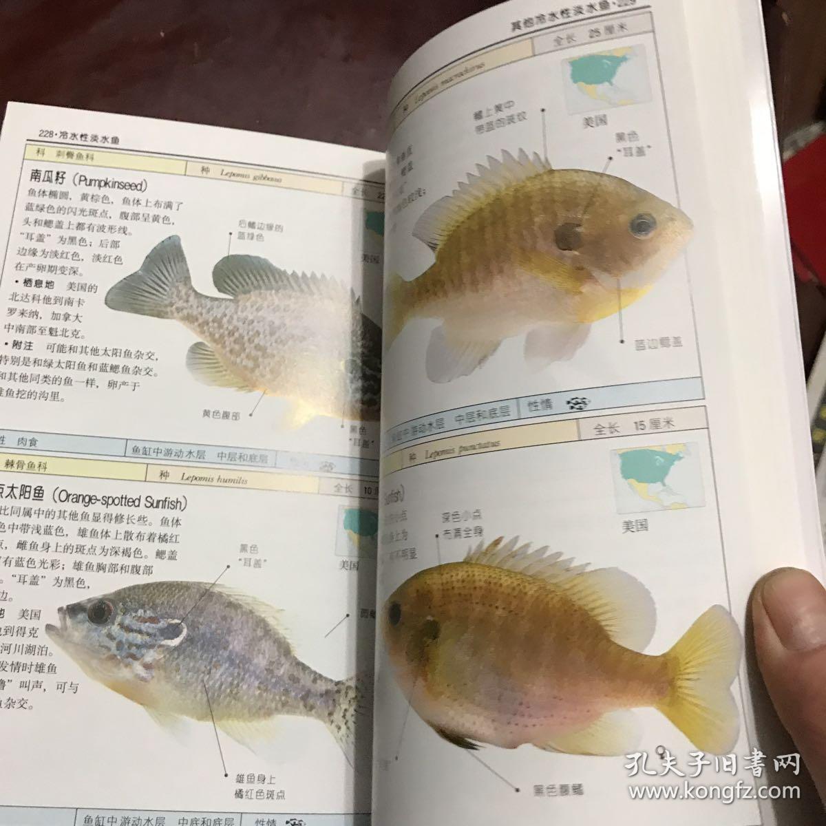 观赏鱼:全世界500多种观赏鱼的彩色图鉴