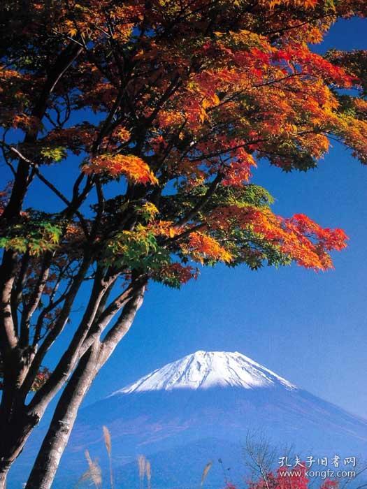 画册 富士 四季讃歌(富士山的四季风光)