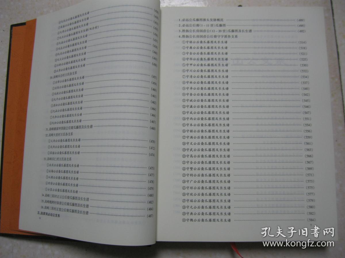 王氏族谱三槐堂下卷湖南省张家界市慈利县江垭镇美世村三双村鹤峰县中