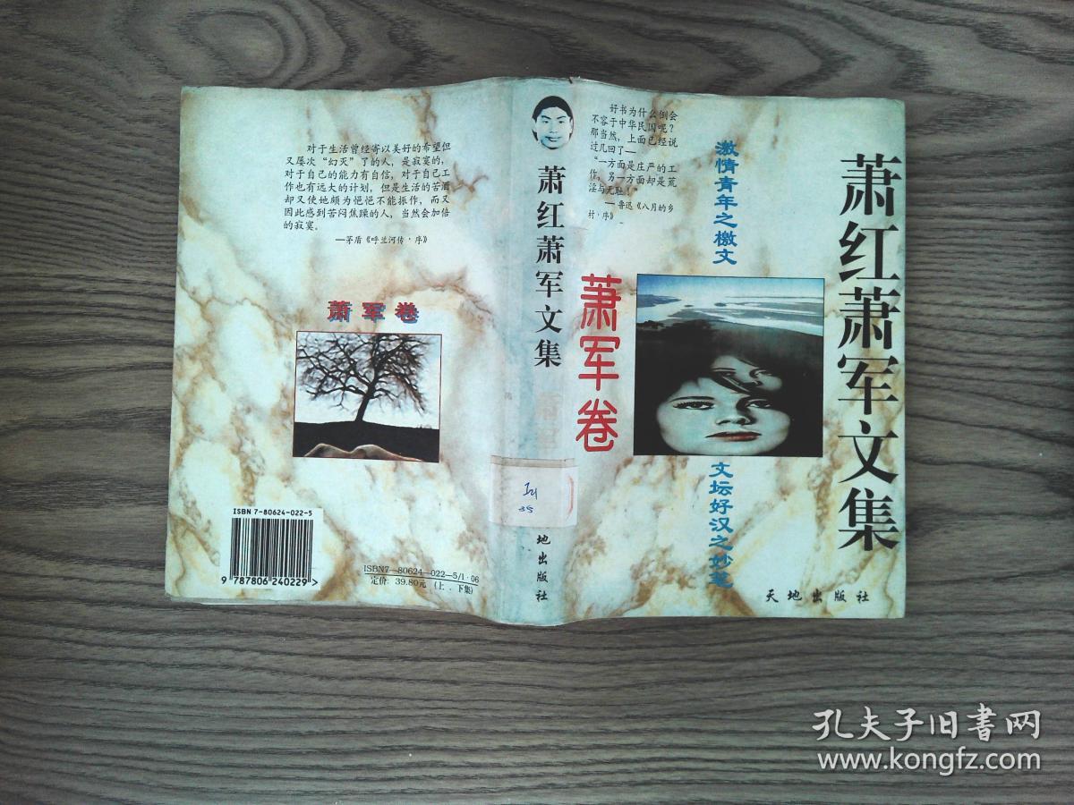 萧红萧军文集:萧军卷