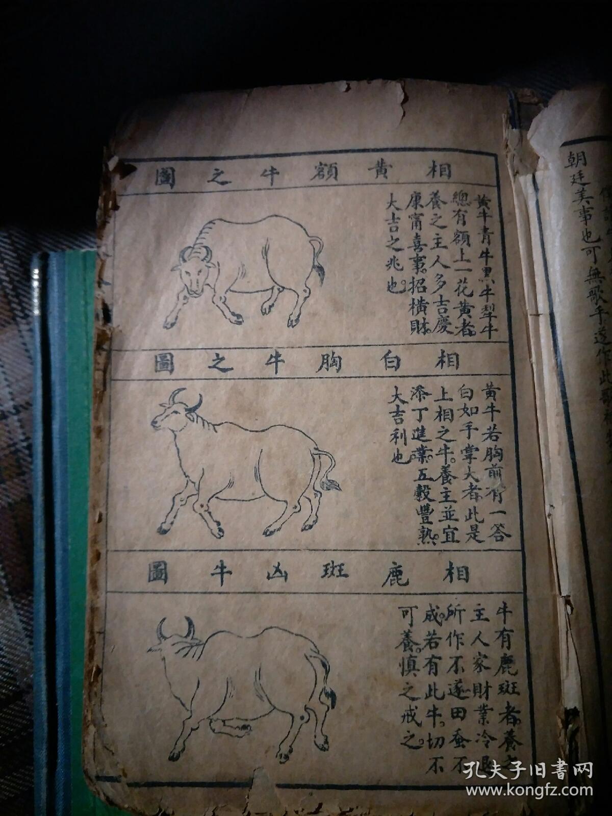 牛经大全,增补繍像疗马集(元亨疗马集)合订本牛经大全上下卷全,六品