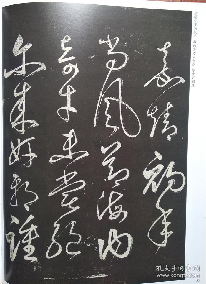 历代名家书法经典丰坊跋张旭草书古诗四首草书杜甫诗卷草书底柱行千字