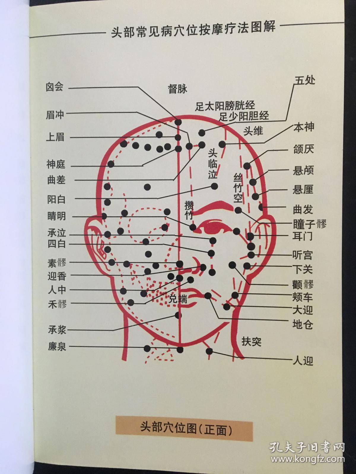 中医保健按摩 头部按摩大全