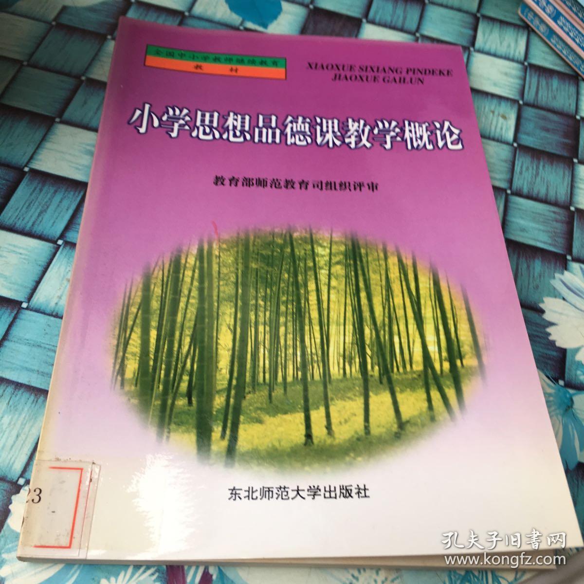 小学思想品德课教学基本功与技能训练