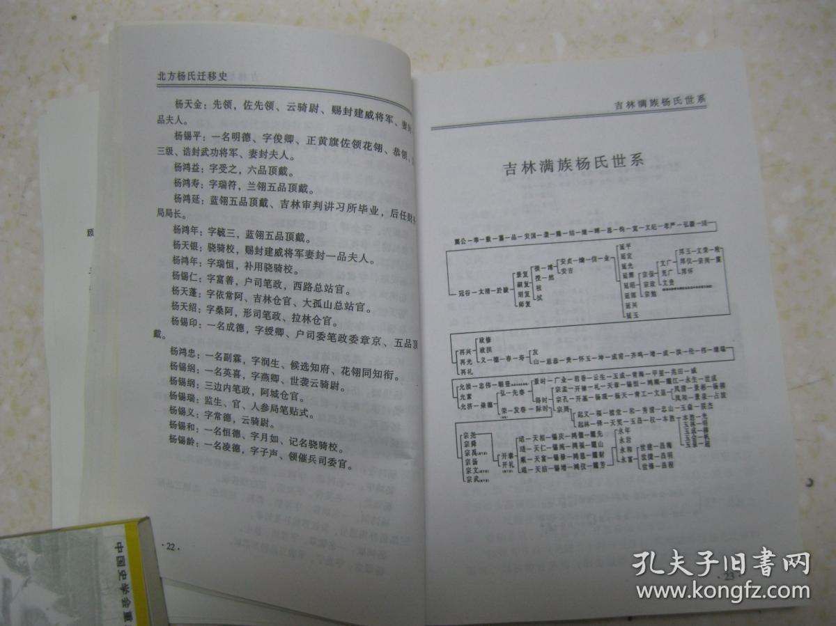北方杨氏迁移史(本书是研究和编修杨氏家谱,杨氏宗谱,杨氏族谱的重要