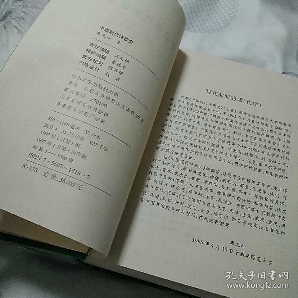 中国现代诗歌史