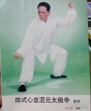 陈式心意混元太极拳 上下册 含25vcd