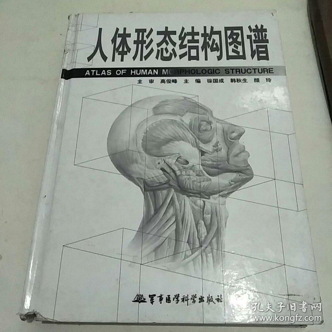 人体形态结构图谱