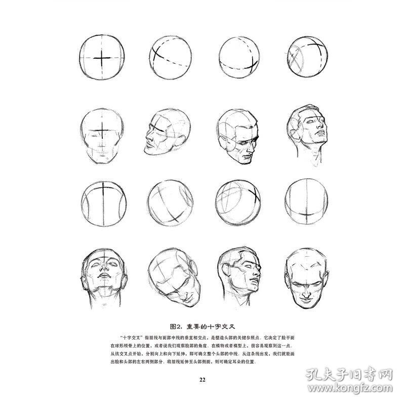 路米斯经典美术课:头手素描