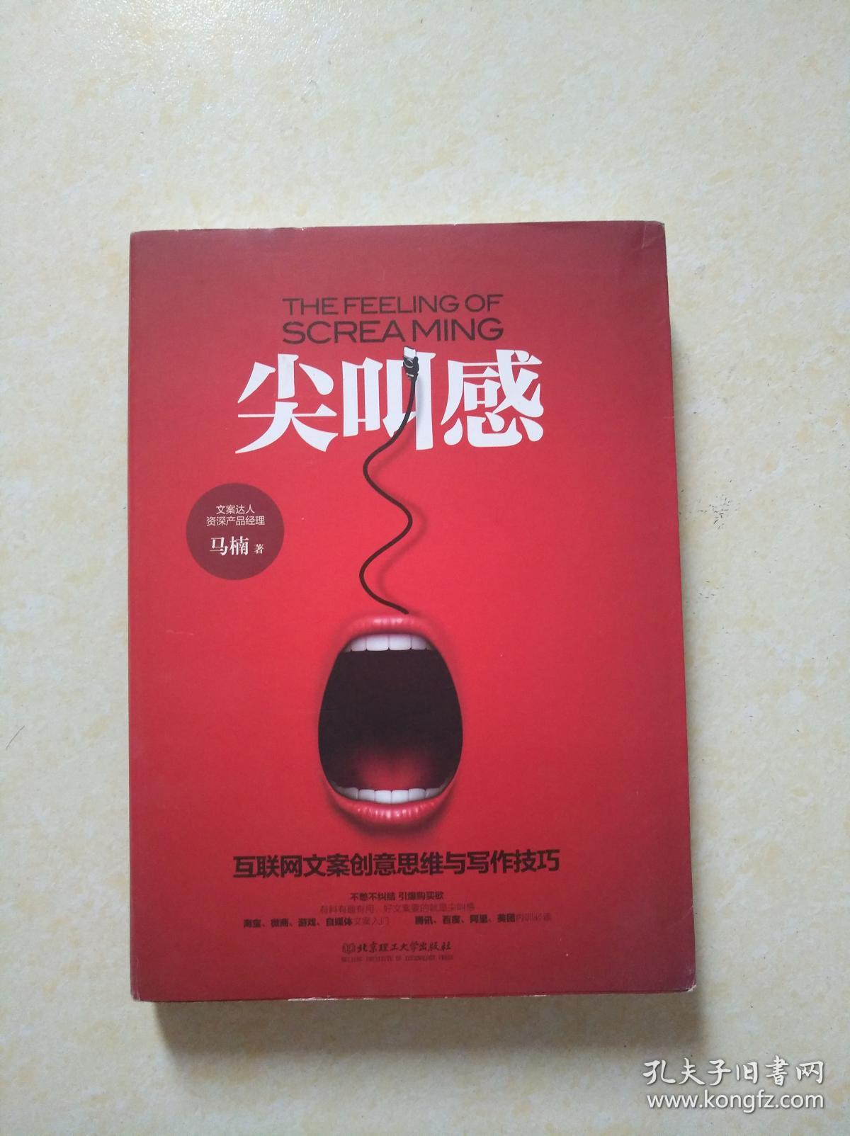 尖叫感:互联网文案创意思维与写作技巧