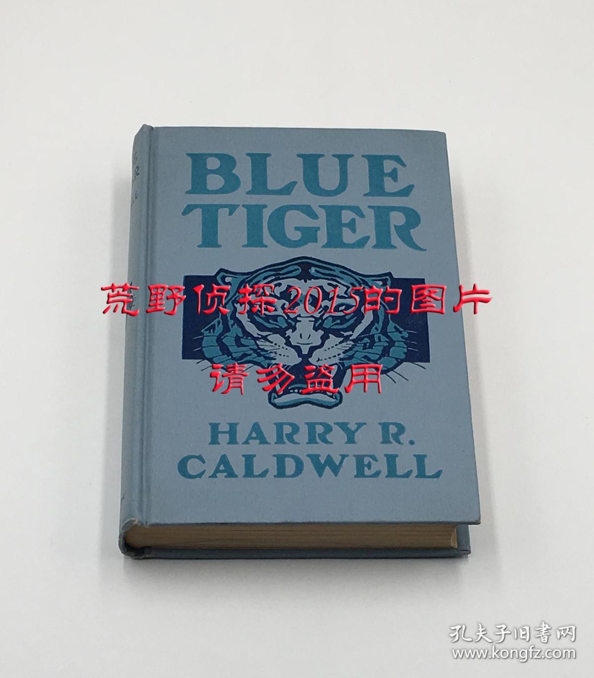 blue tiger(柯志仁《蓝虎》,在福建延平,福清等地传教