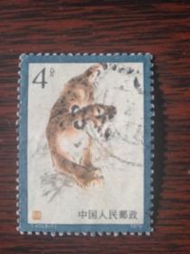 T40 东北虎 （3-1）信销邮票