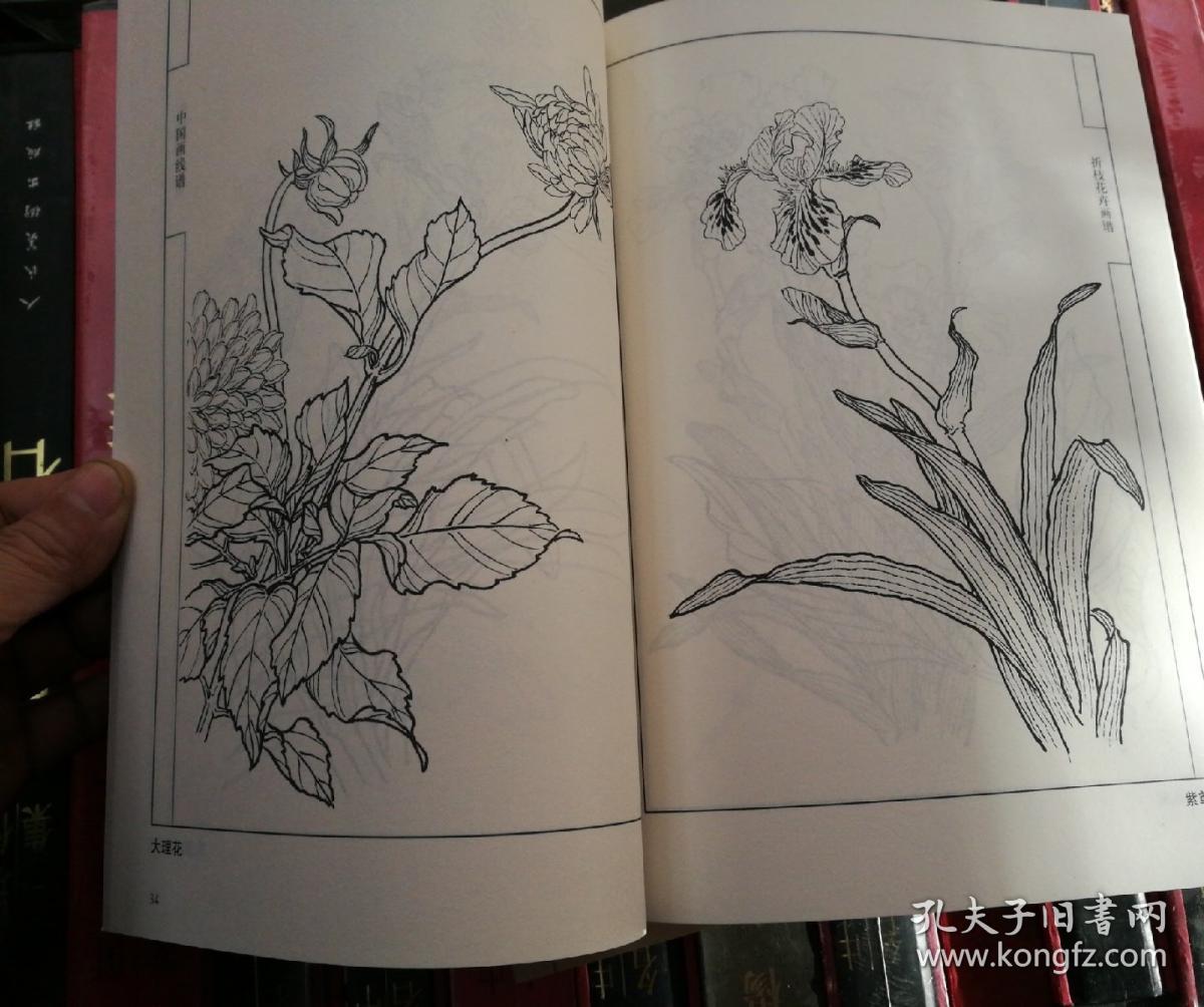 【五本合售】中国画线描 折花花卉图谱 四季花卉图谱