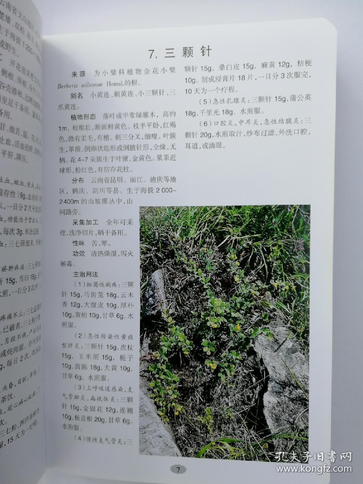 云南常用中草药彩色图谱:识药·采药·用药(一版一印)
