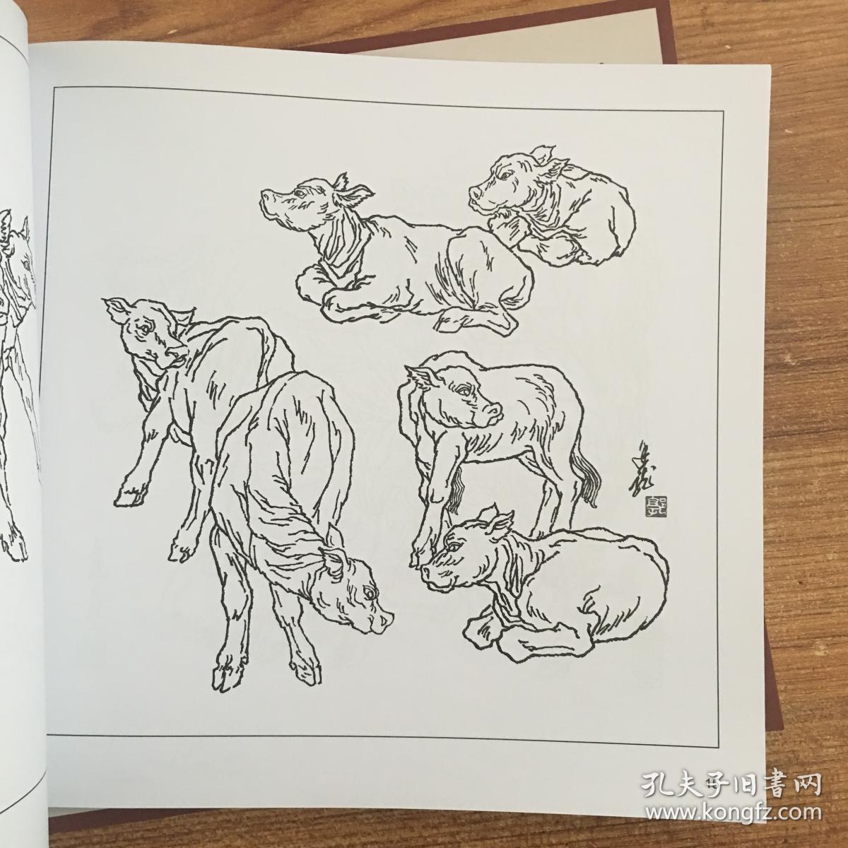 画牛百态,实用白描画稿