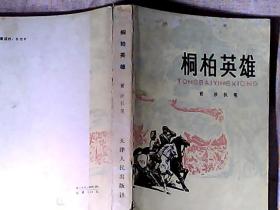 桐柏英雄(这是一部描写解放战争的长篇小说)