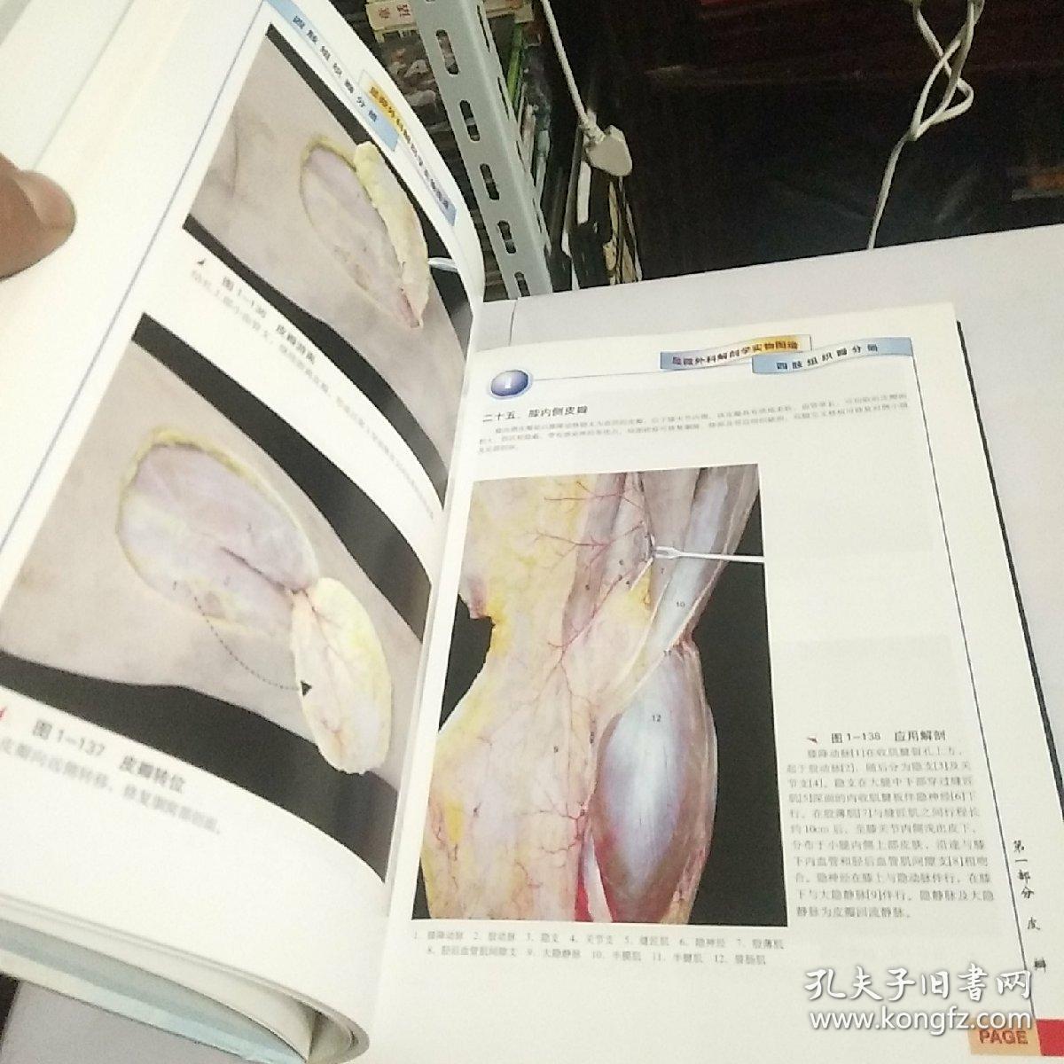 显微外科解剖学实物图谱·显微外科解剖学实物图谱·四肢组织瓣分册