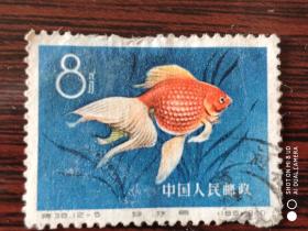 特38 金鱼 12－5 信销邮票