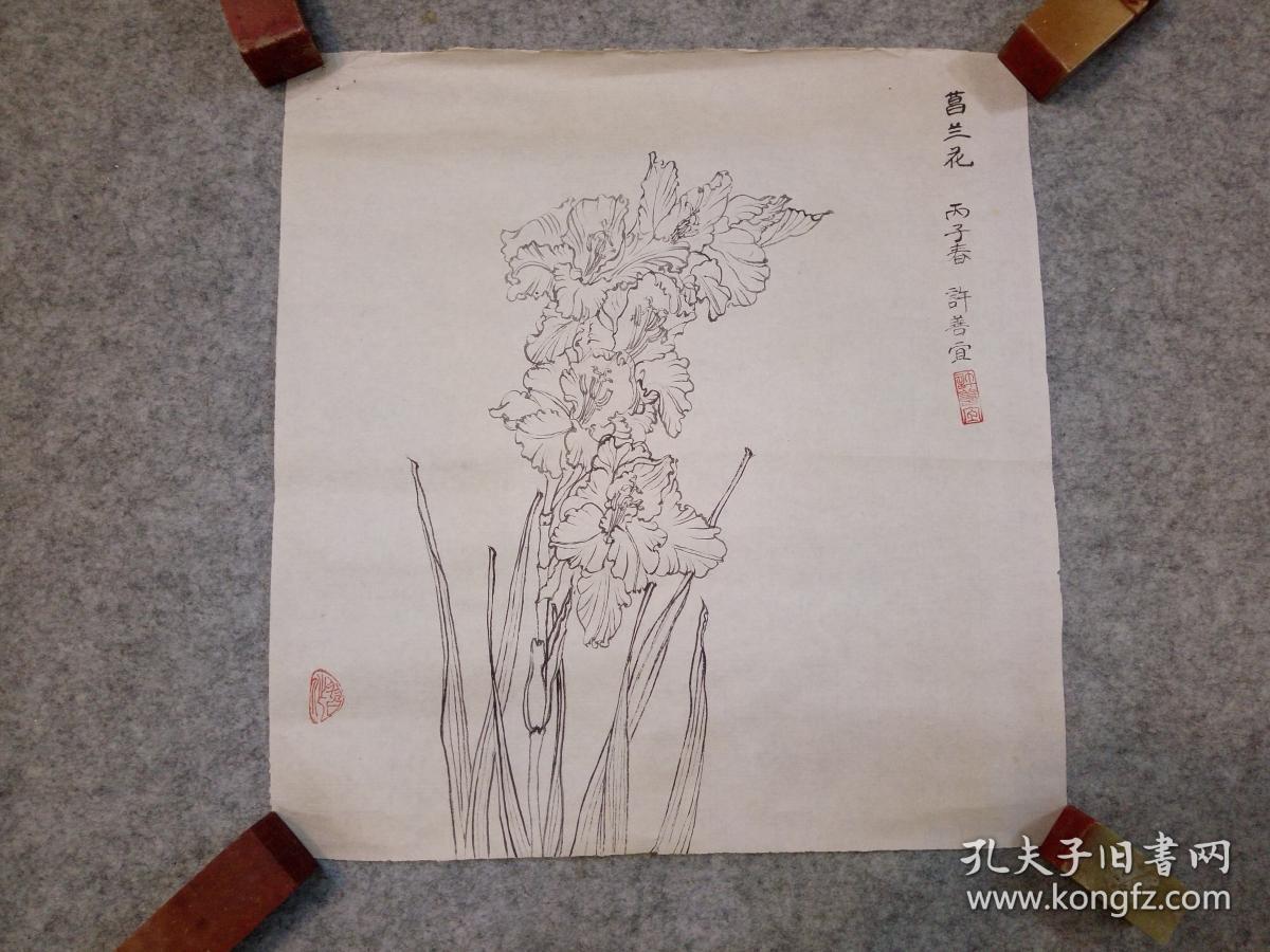 许老师老旧国画白描花卉 原稿手绘真迹
