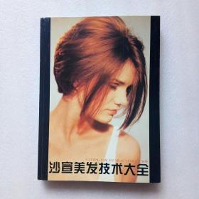 沙宣美发技术大全