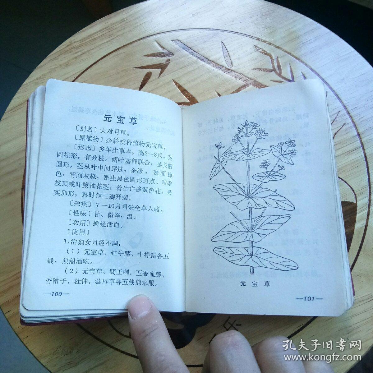 常用民间草药手册