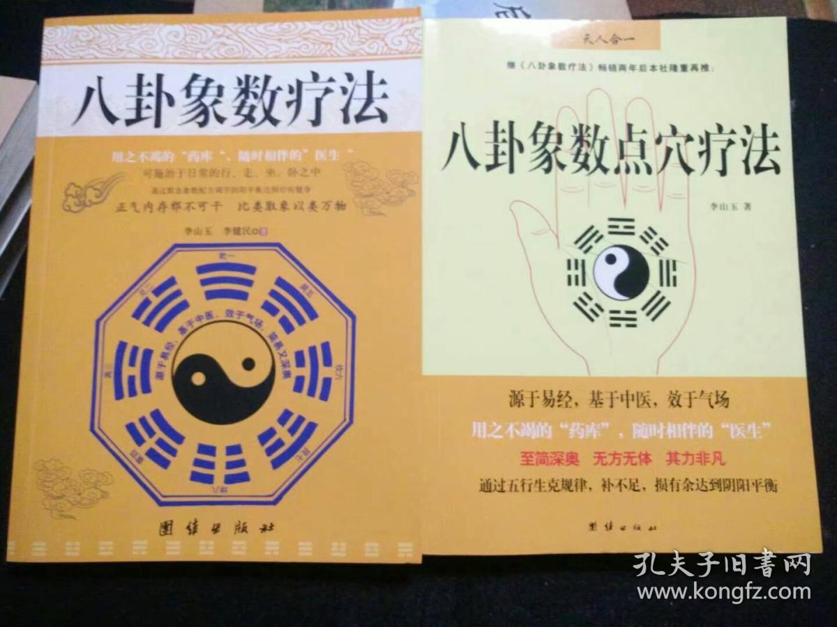 八卦象数疗法 八卦象数点穴疗法【2本合售】