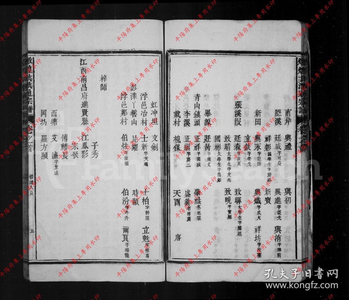 江西乐平 炖煌郡洪氏通宗谱 族谱 家谱 家乘(复印本)