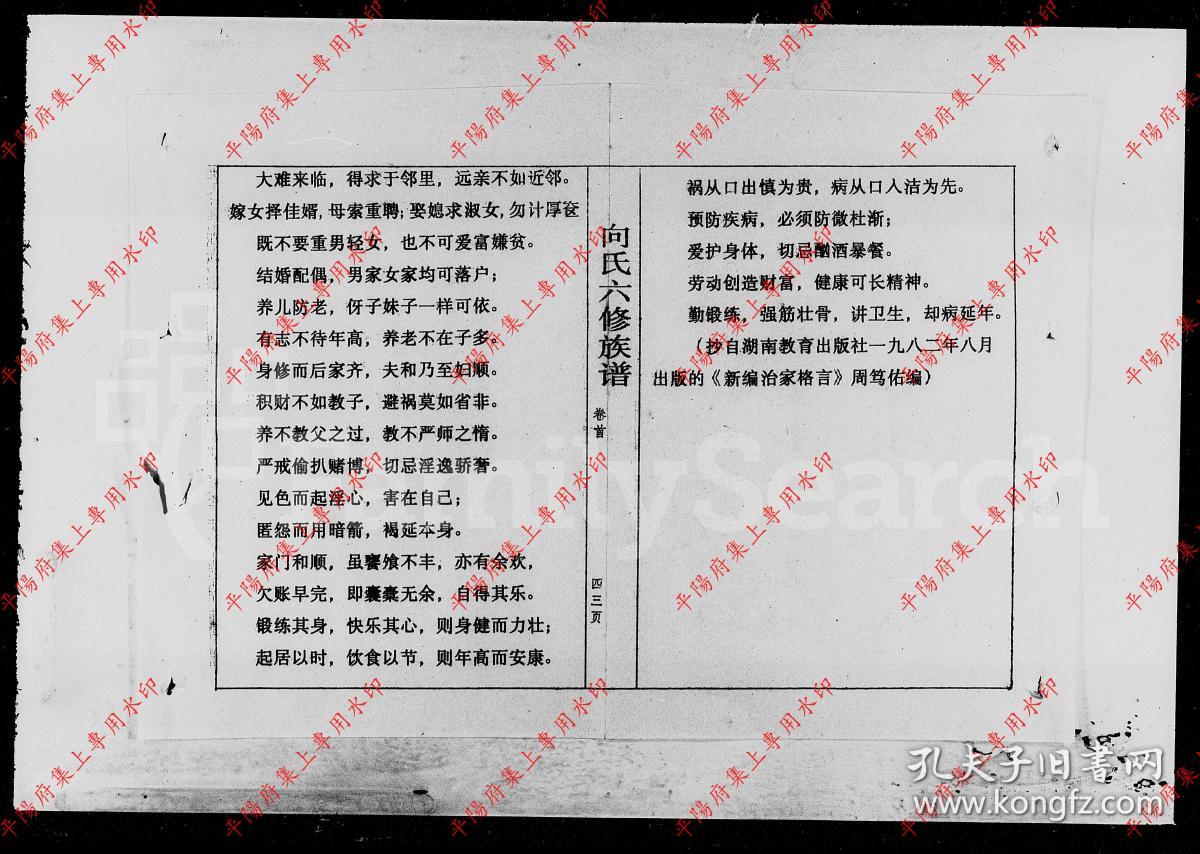 湖南洞口 向氏六修族谱 宗谱 家谱 家乘(复印本)