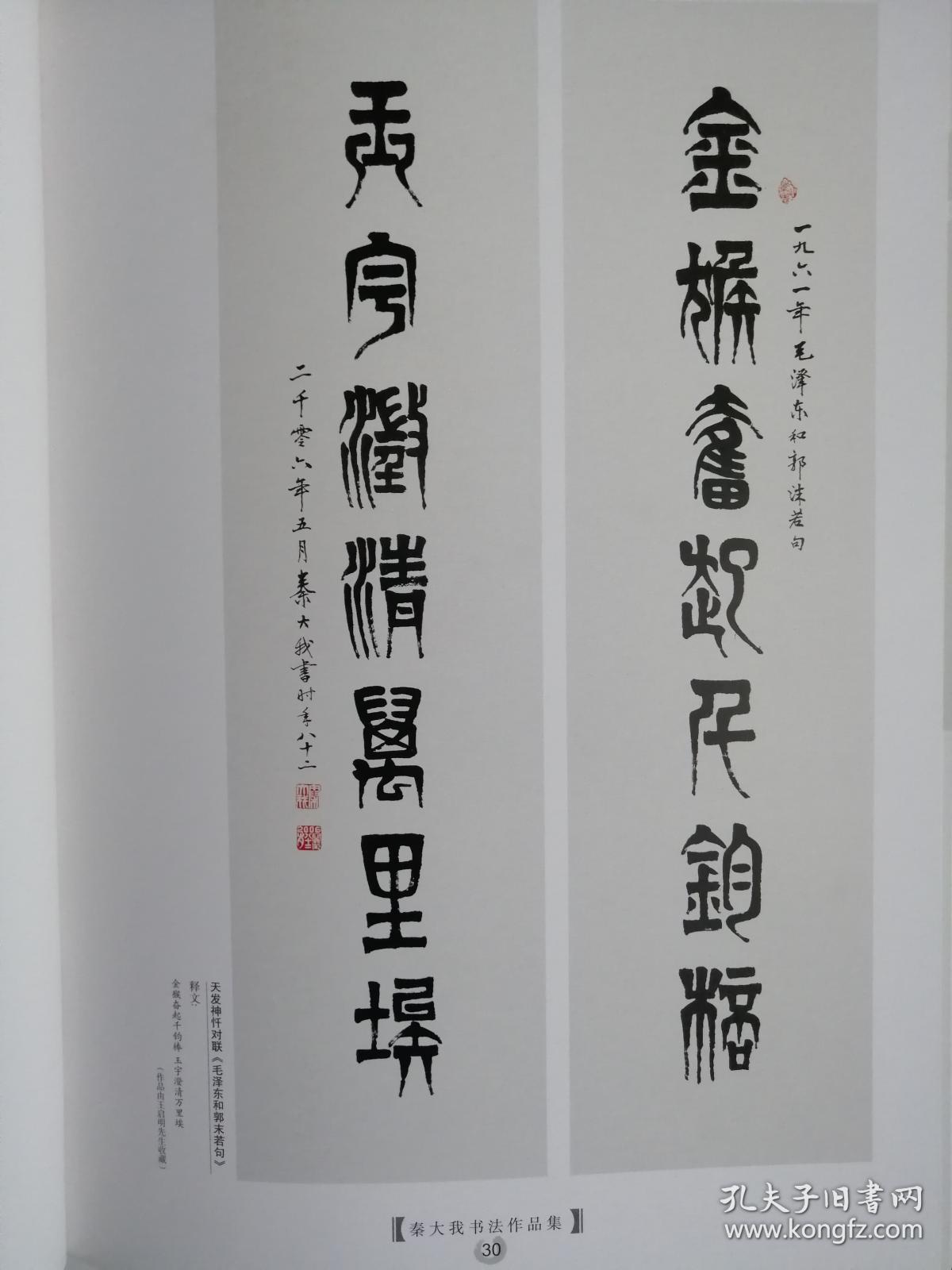 中国当代书法名家作品集系列:秦大我书法作品集