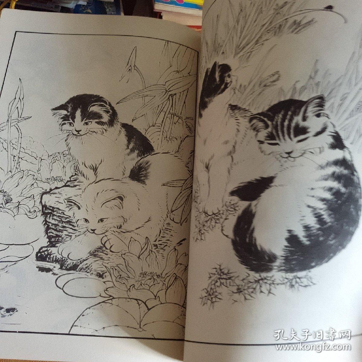 百猫谱