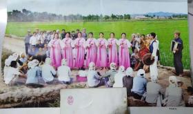 70年代影像图片 东北朝鲜族在稻田间演出