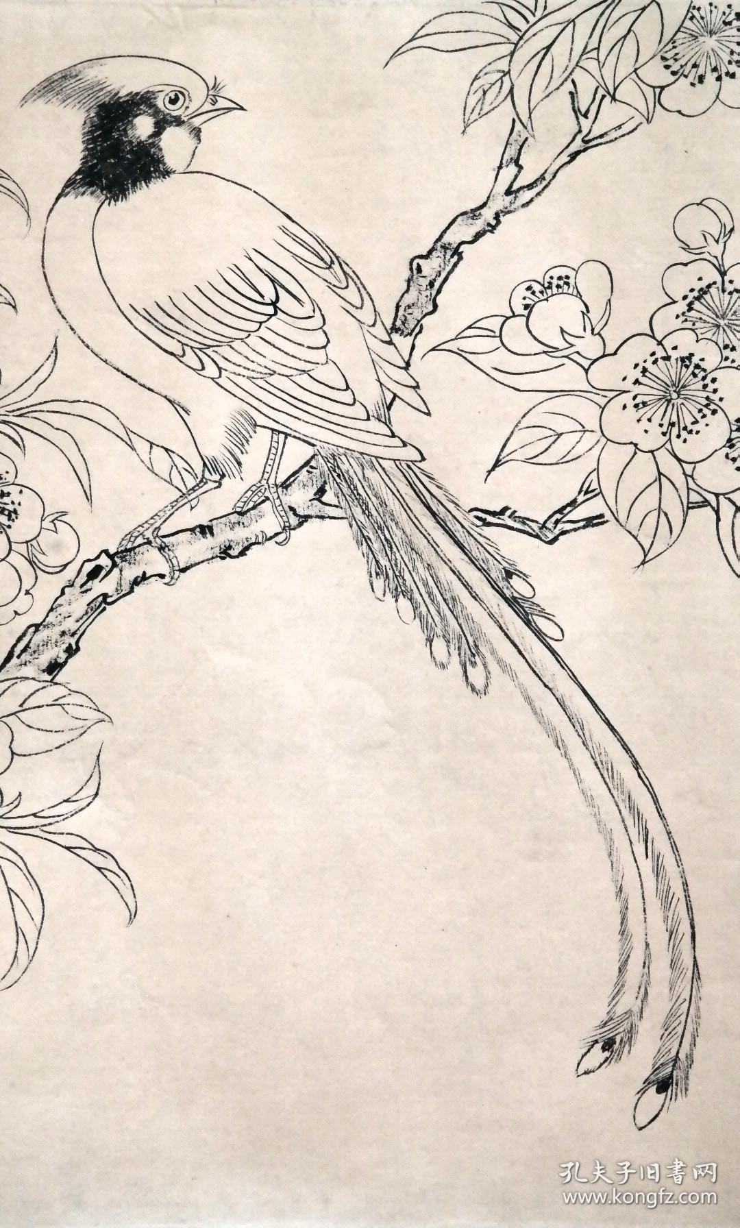 江苏省美术家协会副主席◆喻继高《1994年,1998年手绘白描花鸟画9幅》