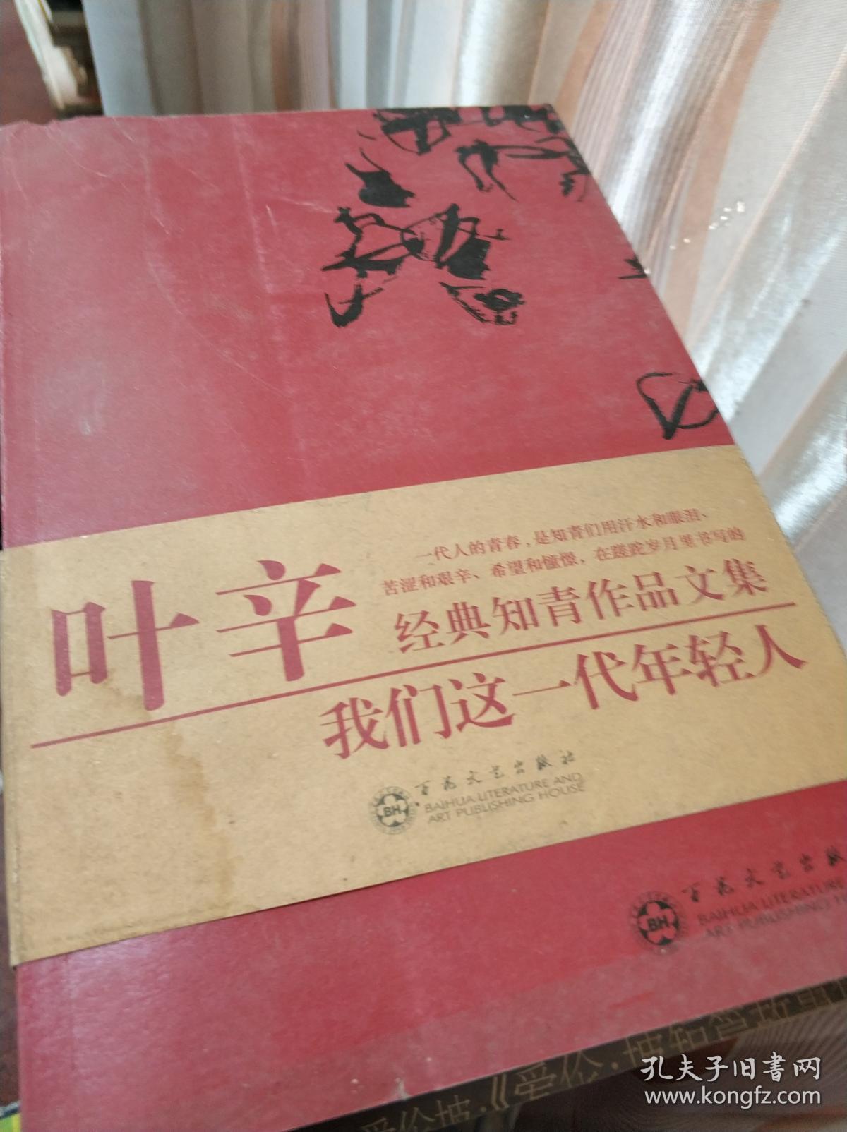 我们这一代年轻人
