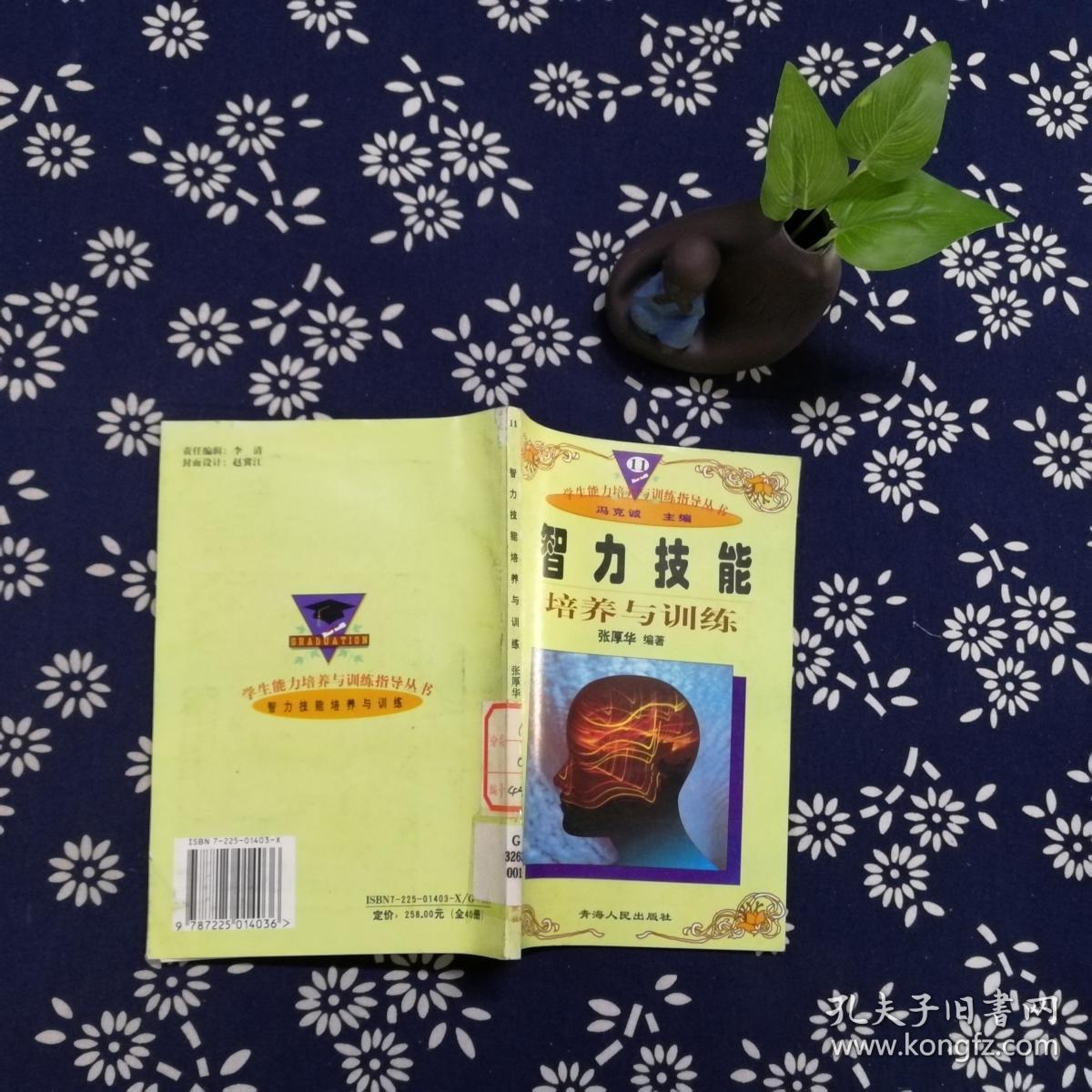 智力技能培养与训练