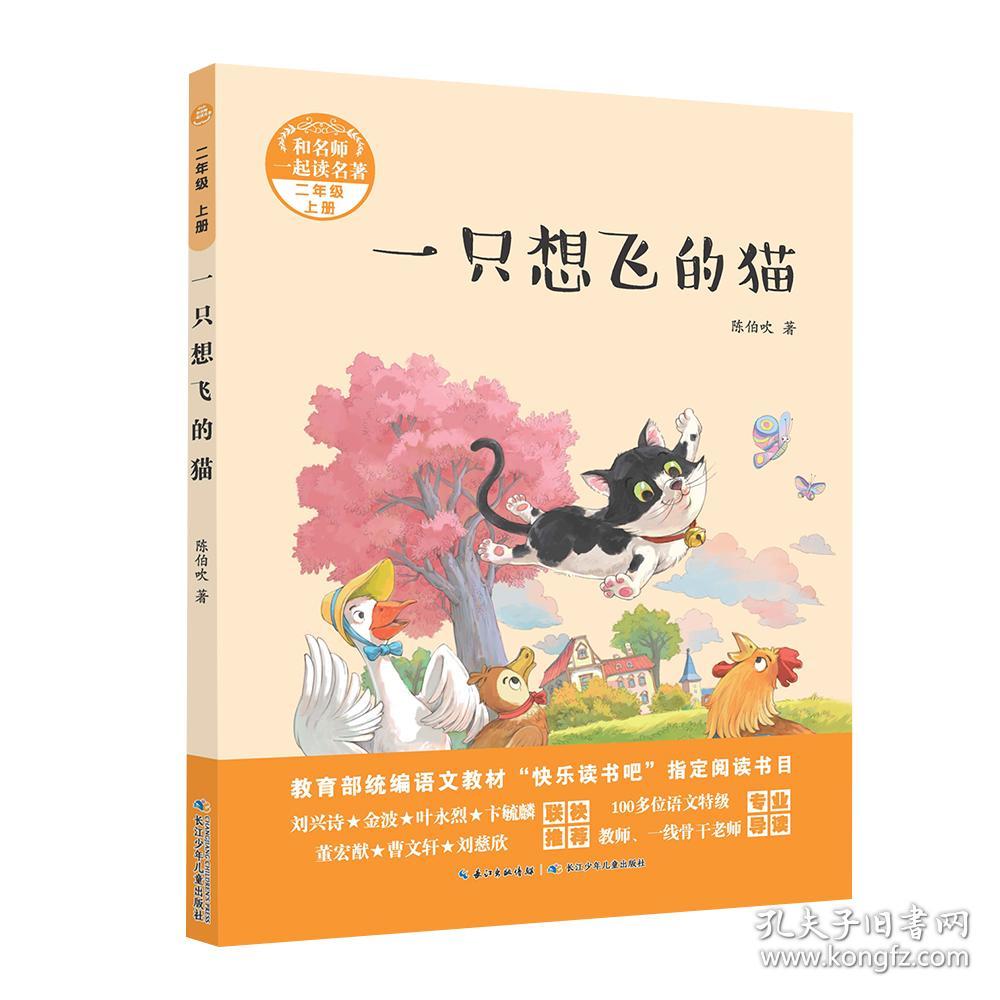一只想飞的猫
