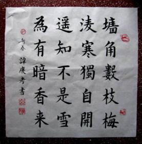 谭氏优秀楷书书法(3:意味深远,朴素自然【宋王安石《梅花》诗】斗方