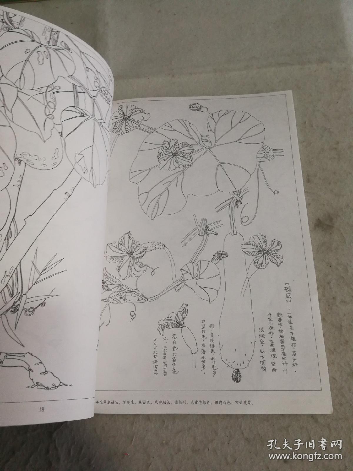 高等美术院校教学参考丛书·藤蔓:粟穗白描写生集
