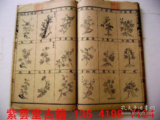 清;中草药[本草纲目图册#1251