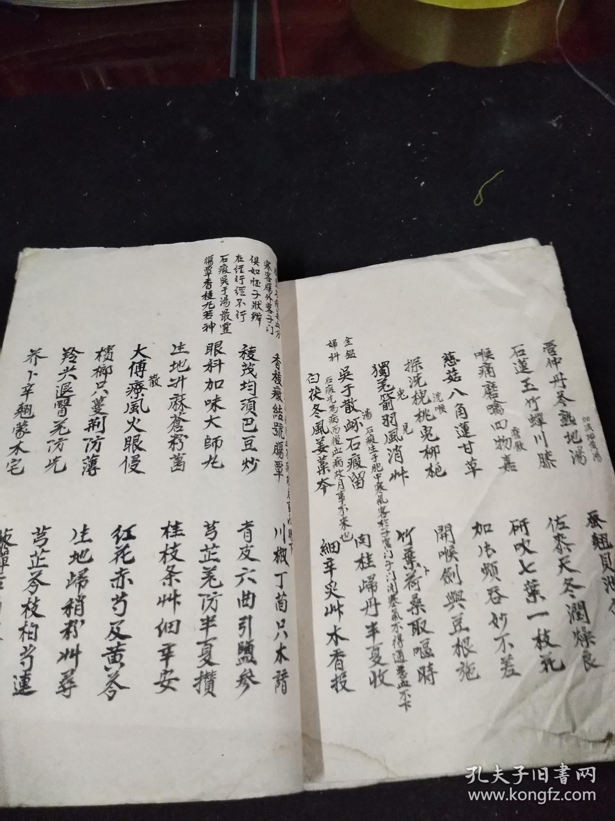 手抄本医学书籍――药理论